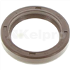 Oil Seal