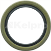 Oil Seal