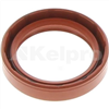 Oil Seal