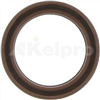 Oil Seal