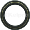 Oil Seal