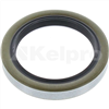 Oil Seal