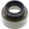 Oil Seal