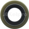 Oil Seal