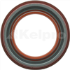 Oil Seal