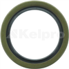 Oil Seal