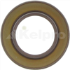 Oil Seal