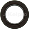 Oil Seal