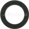 Oil Seal