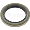 Oil Seal