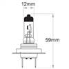 H7 Px26D Plus 100 Long Life Globe 24V 70W - 2 Pce