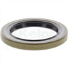 Oil Seal