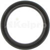 Oil Seal