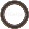 Oil Seal