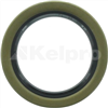 Oil Seal