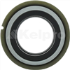 Oil Seal