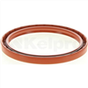 Oil Seal