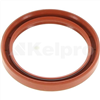 Oil Seal