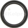 Oil Seal