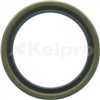 Oil Seal