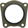 Oil Seal