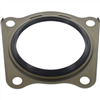 Oil Seal