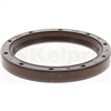 Oil Seal