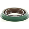 Oil Seal