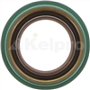 Oil Seal