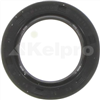 Oil Seal