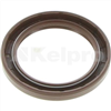 Oil Seal