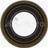 Oil Seal