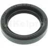 Oil Seal