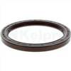 Oil Seal