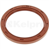 Oil Seal