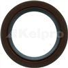 Oil Seal