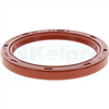 Oil Seal