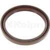 Oil Seal