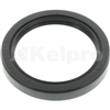 Oil Seal