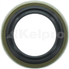 Oil Seal