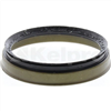 Oil Seal