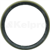 Oil Seal