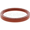 Oil Seal