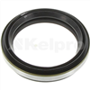 Oil Seal