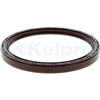 Oil Seal