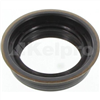 Oil Seal