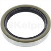 Oil Seal