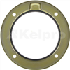 Oil Seal