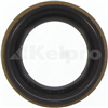 Oil Seal