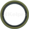 Oil Seal